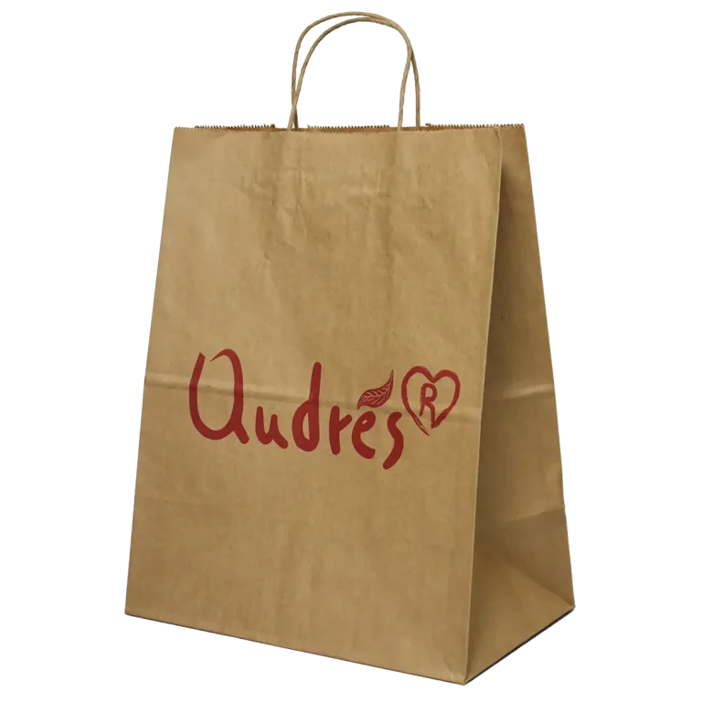 fabricante de bolsa s de papeleria en colombia (5)