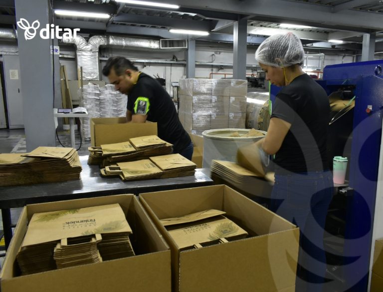 Lo Que No Sabias De Las Bolsas De Papel Grandes Fabricantes de Bolsas de papel
