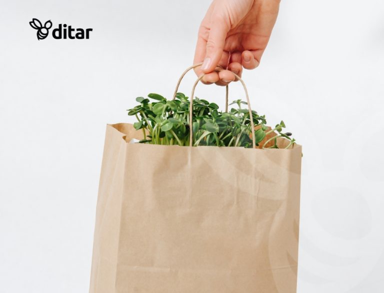Bolsas De Papel Vs Bolsas Plásticas Grandes Fabricantes de Bolsas de papel