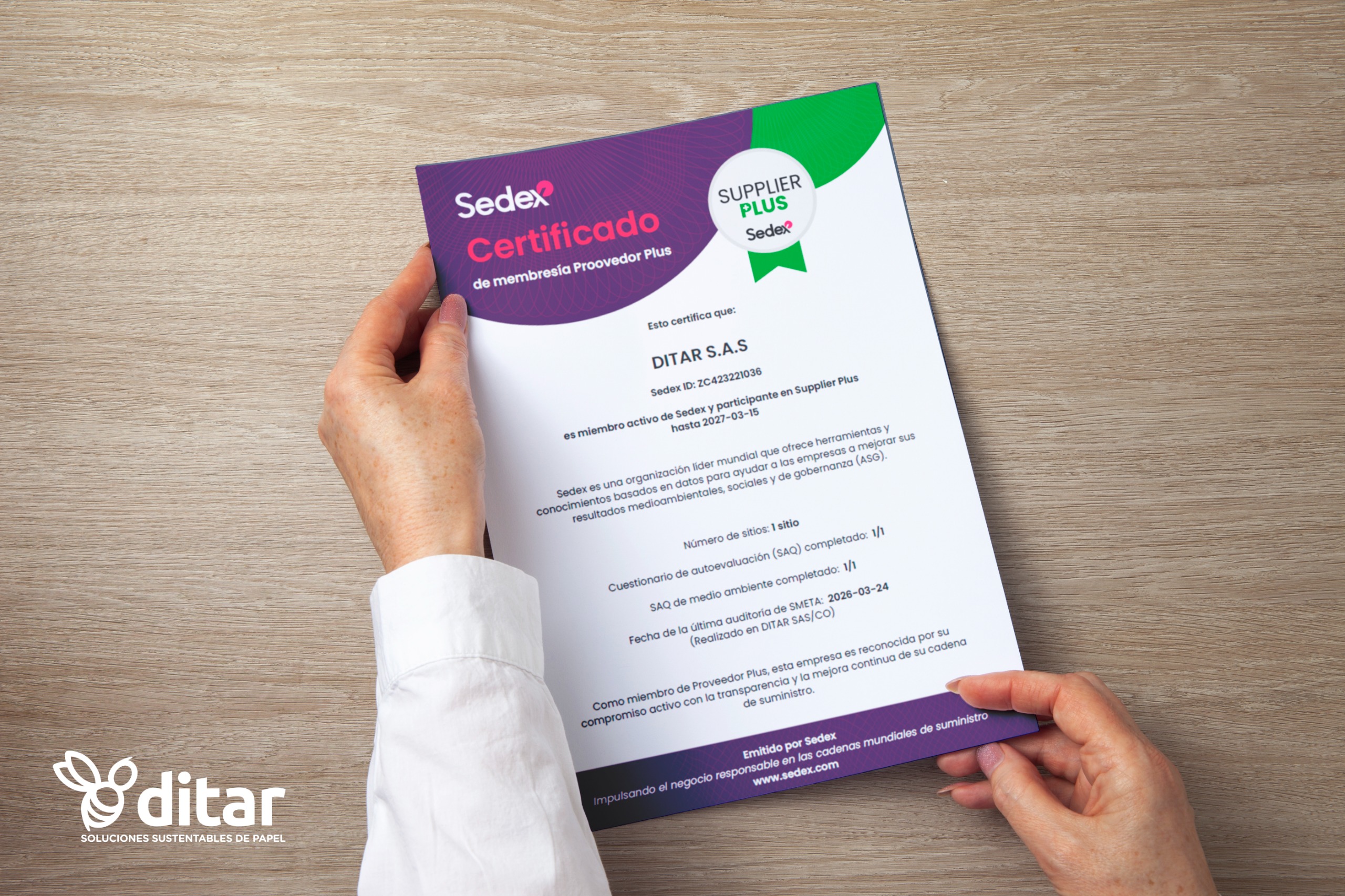Sedex Smeta Ditar Bolsas De Papel Certificado Grandes Fabricantes de Bolsas de papel